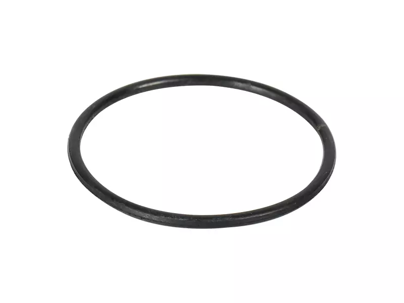 Thermostat O&#39;ring