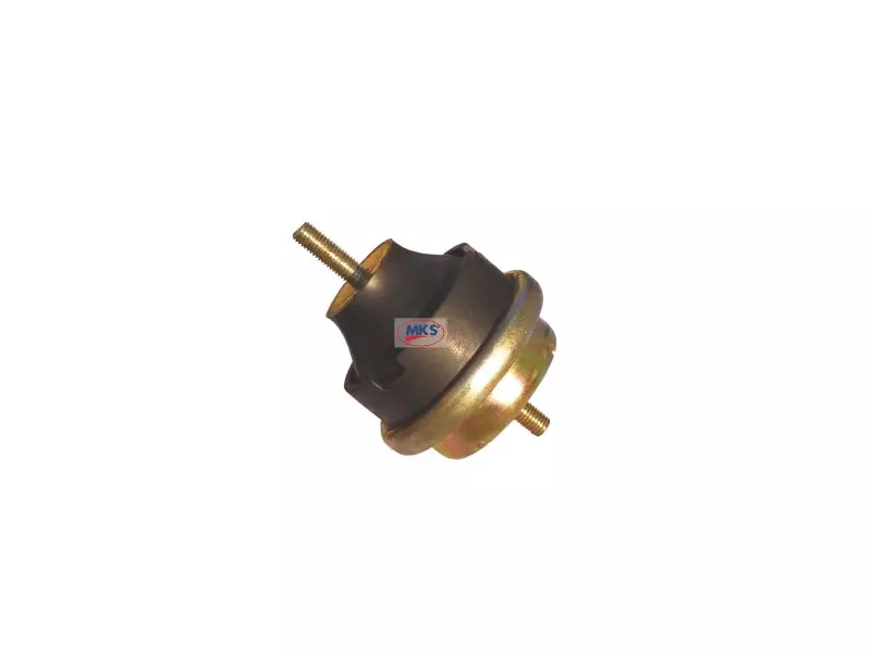 Engine Mounting (with oil)