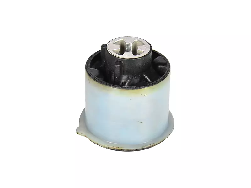 Rear Suspension Axle Mounting