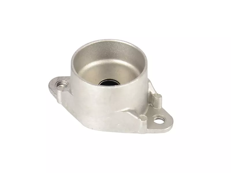 Shock Absorber Mounting (Rear)