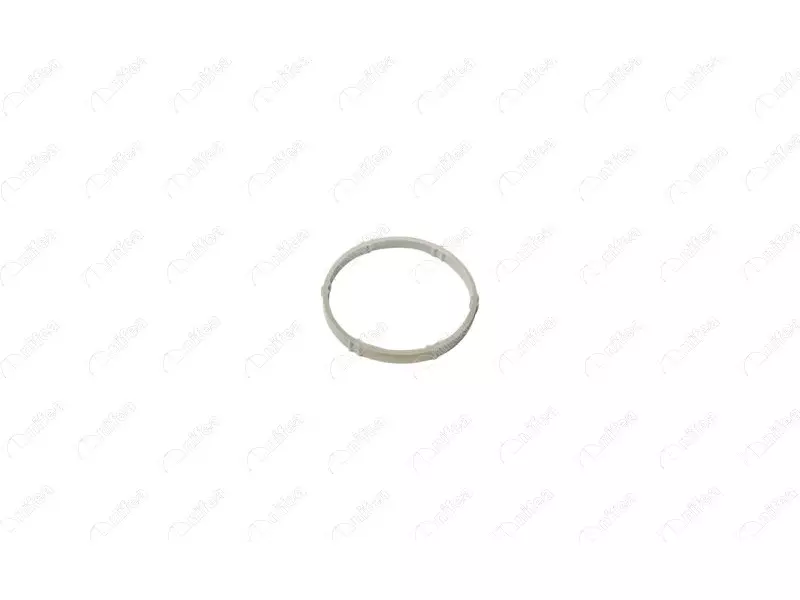 THROTTLE GASKET