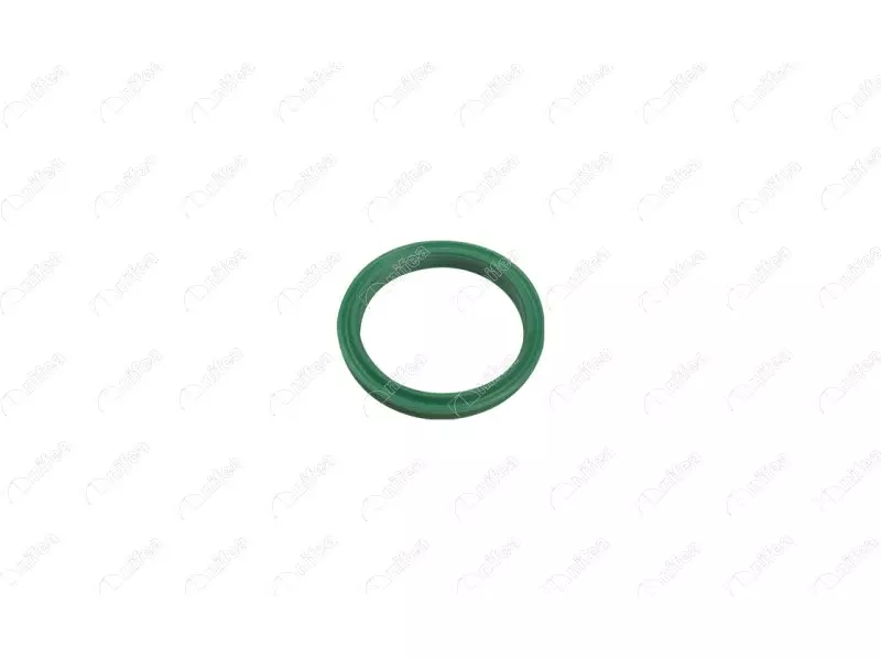 TURBO PIPE GASKET