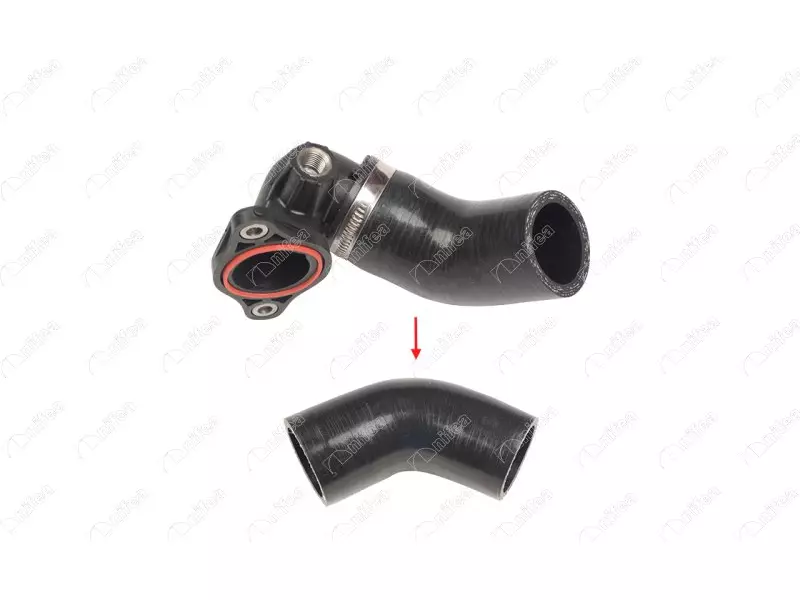 EGR HOSE 
EXCLUDING PLASTIC PIPE