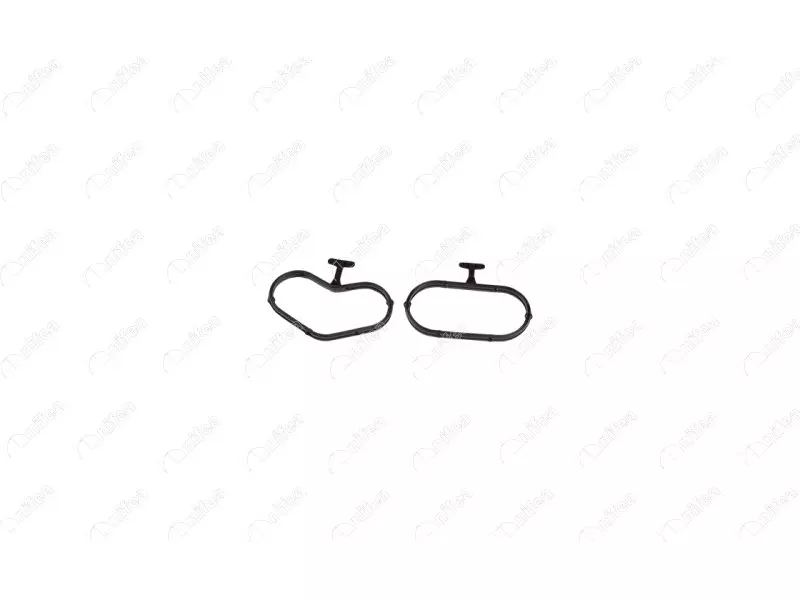 OIL COOLER GASKET