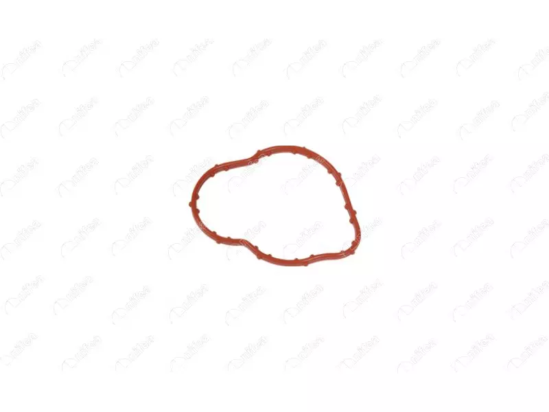 THERMOSTAT BODY GASKET