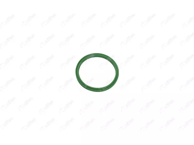 TURBO PIPE GASKET