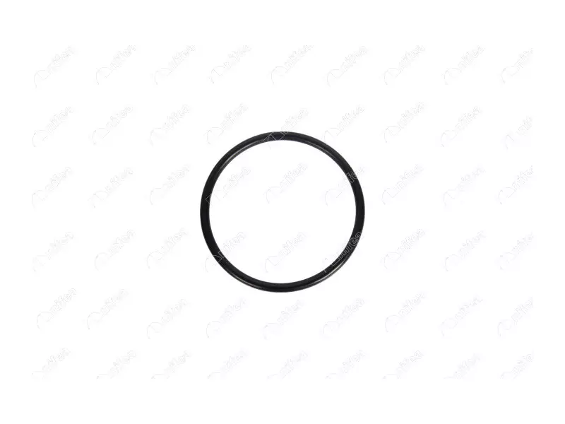 THROTTLE GASKET