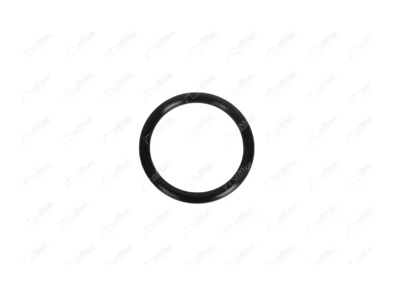 THROTTLE GASKET