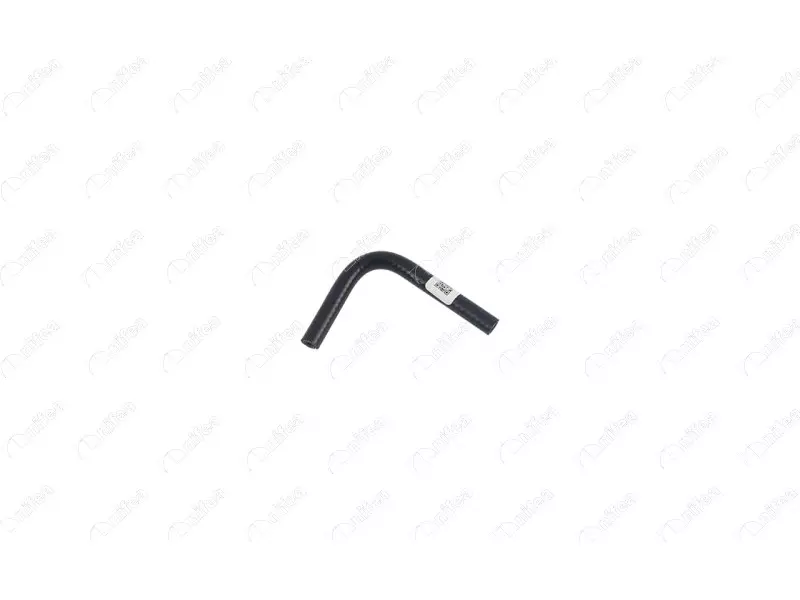 FUEL HOSE