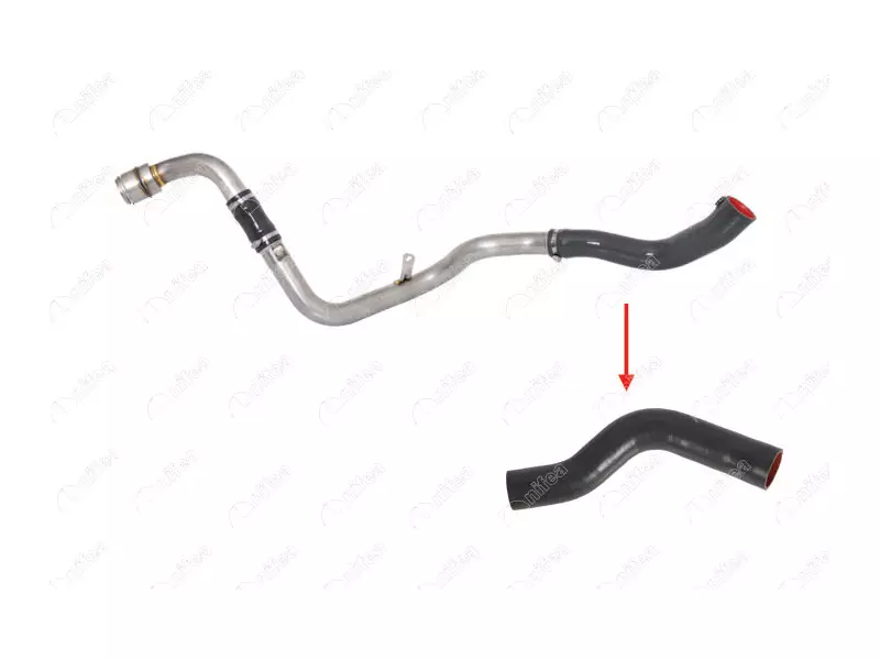 TURBO HOSE
EXCLUDING METAL PIPE