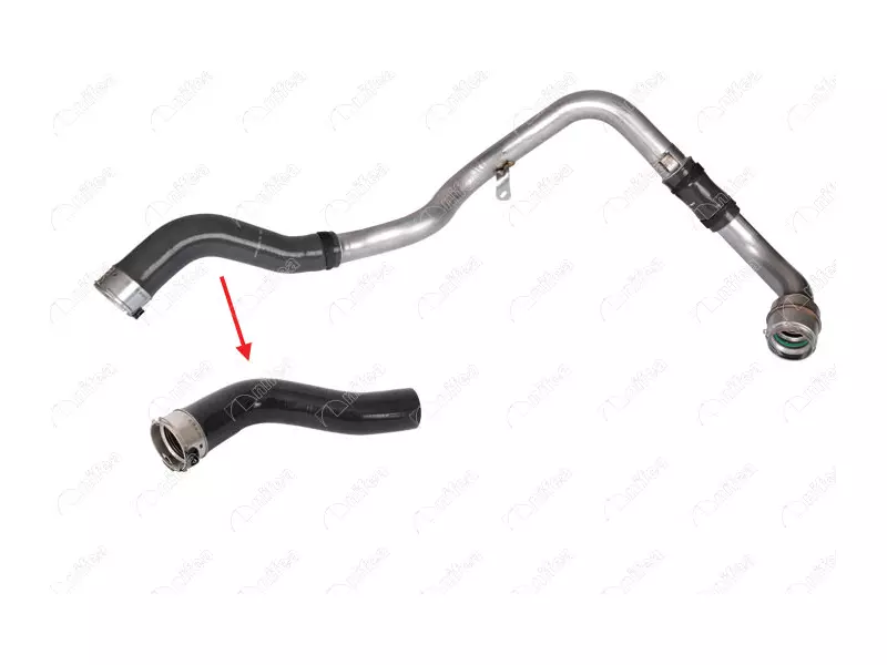 TURBO HOSE
EXCLUDING METAL PIPE