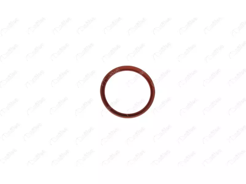 TURBO PIPE GASKET