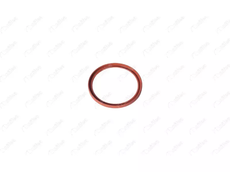 TURBO PIPE GASKET