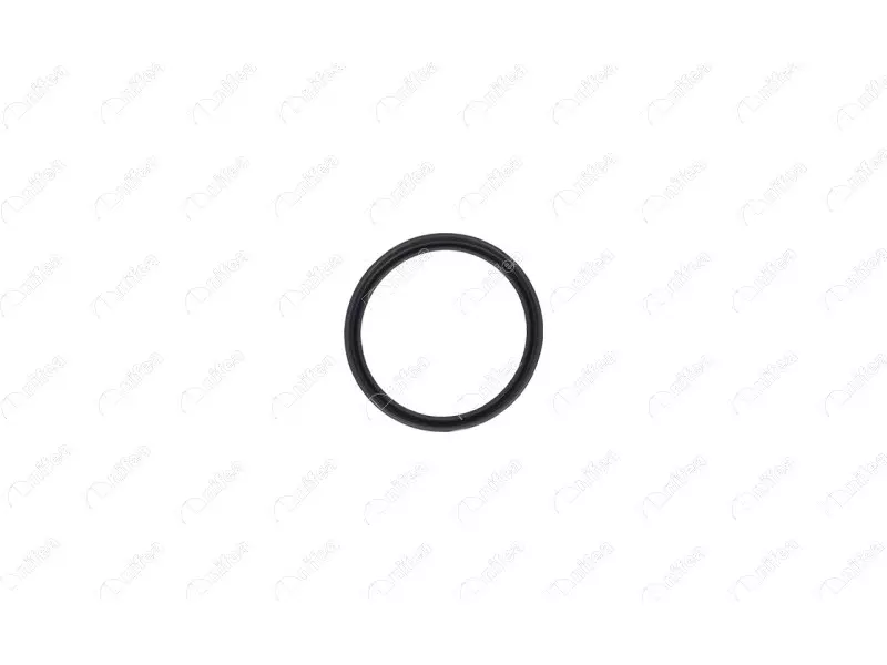 TURBO PIPE GASKET