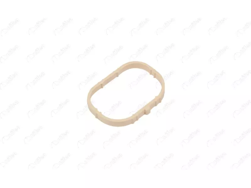 SUCTION MANIFOLD GASKET