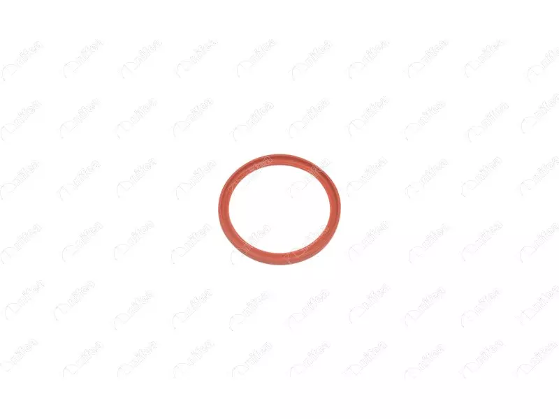 TURBO PIPE GASKET