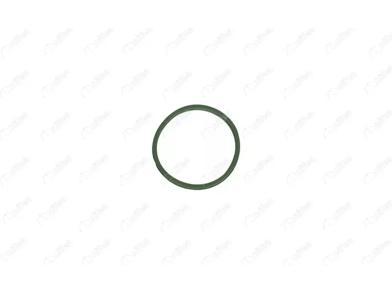 TURBO PIPE GASKET