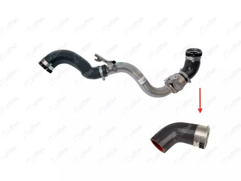TURBO HOSE
EXCLUDING METAL PIPE