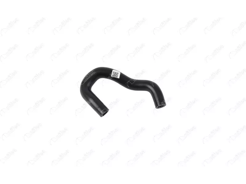 EGR HOSE