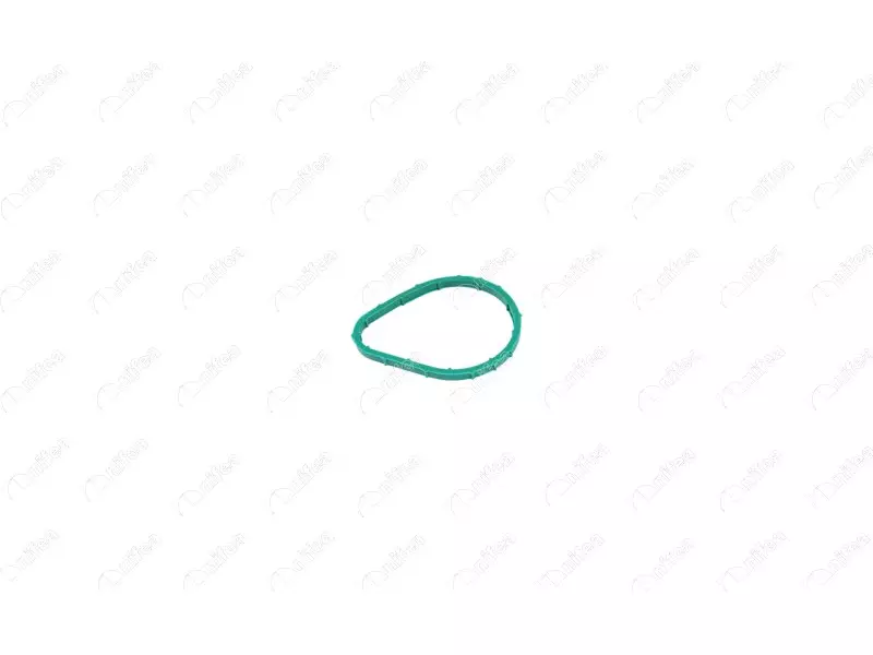 THERMOSTAT BODY GASKET
