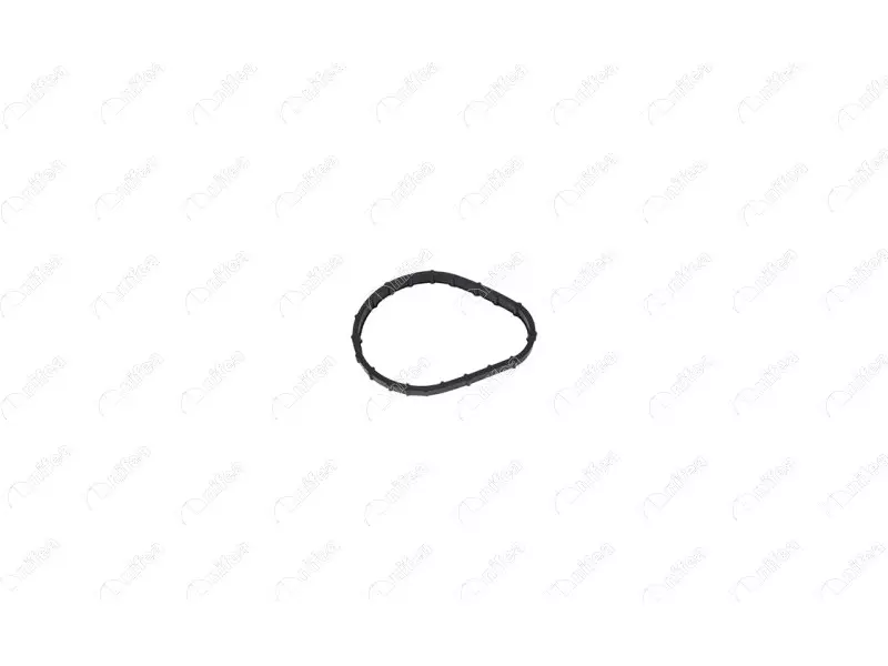 THERMOSTAT BODY GASKET