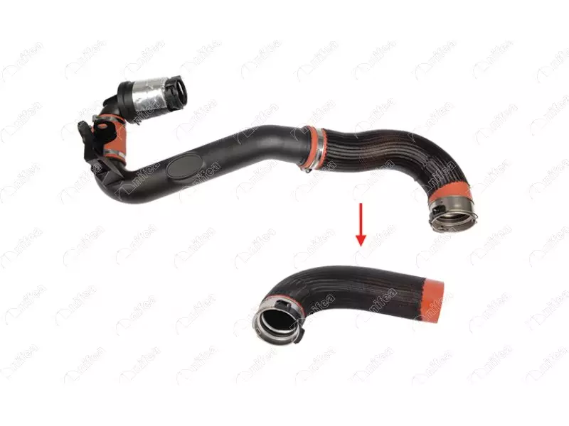 TURBO HOSE
EXCLUDING PLASTIC PIPE