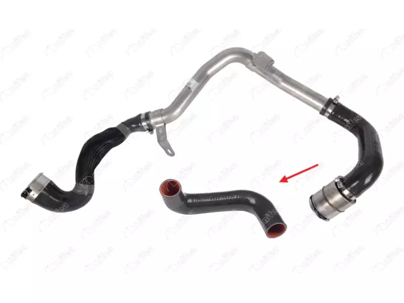 TURBO HOSE
EXCLUDING METAL PIPE