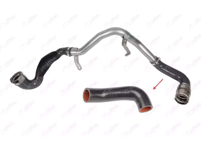 TURBO HOSE
EXCLUDING METAL PIPE