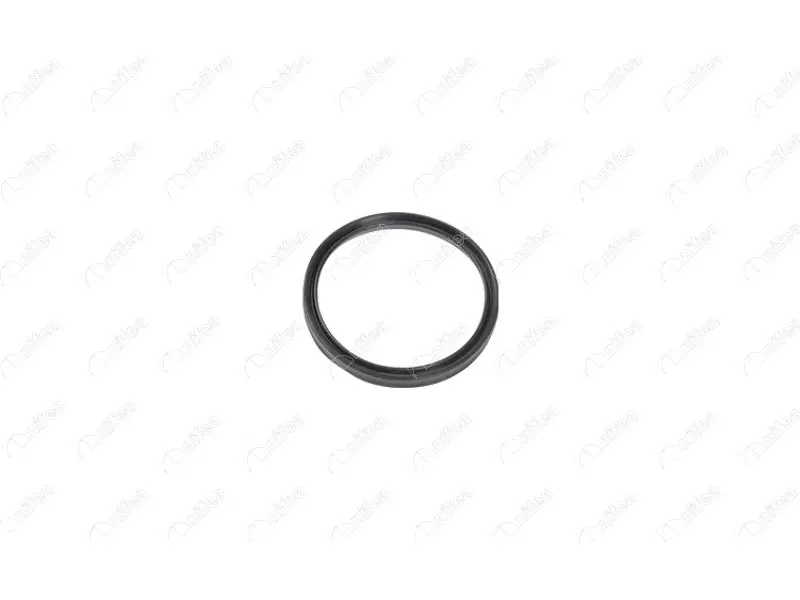 TURBO PIPE GASKET