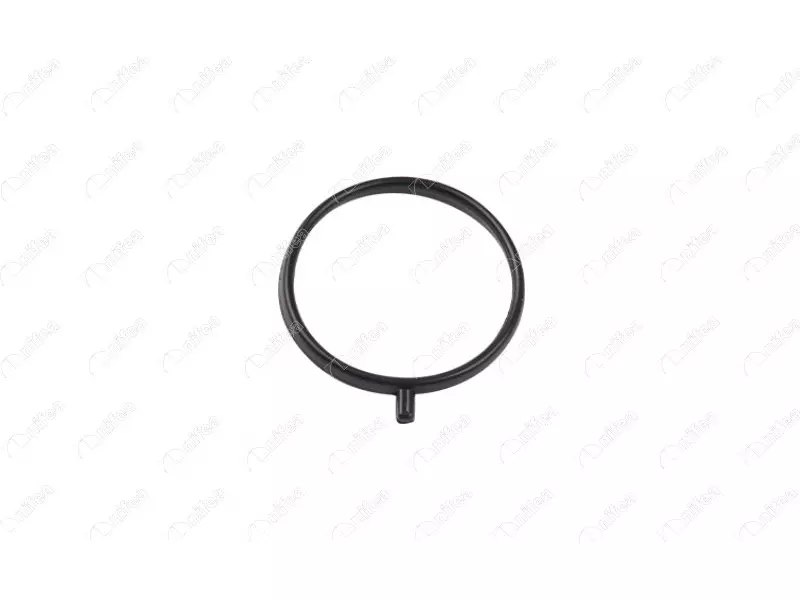 TURBO PIPE GASKET