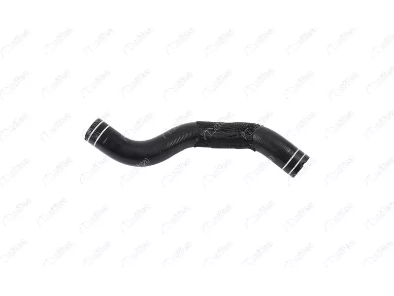 RADIATOR INLET HOSE