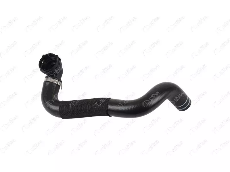 RADIATOR OUTLET HOSE