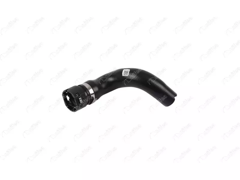 RADIATOR OUTLET HOSE