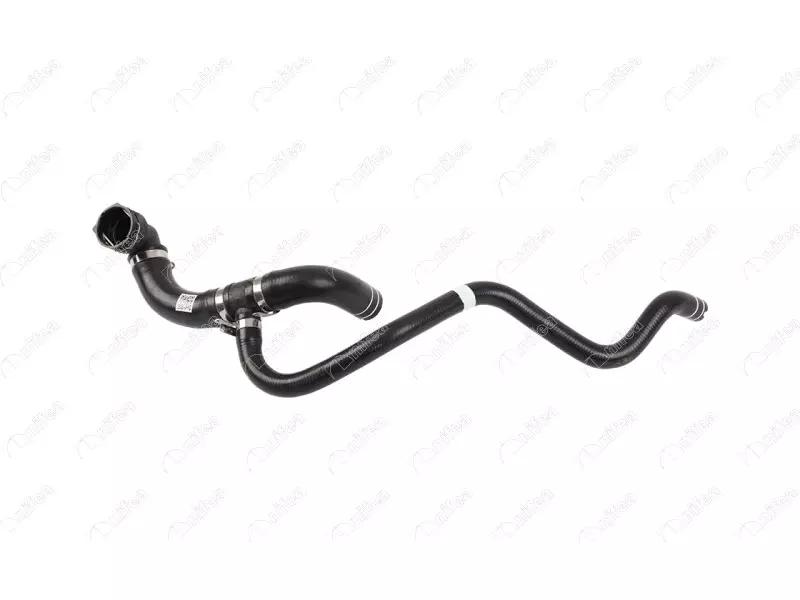 RADIATOR OUTLET HOSE