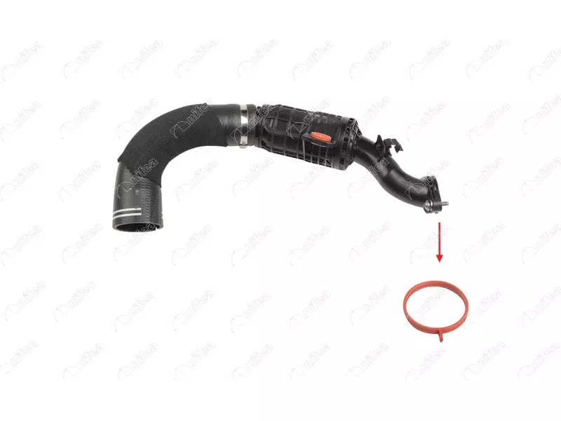 TURBO PIPE GASKET