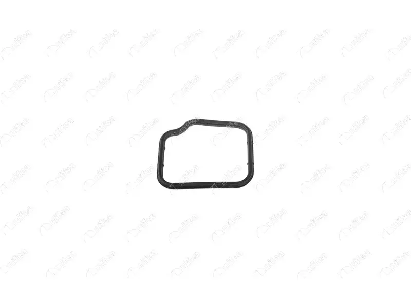THERMOSTAT BODY GASKET