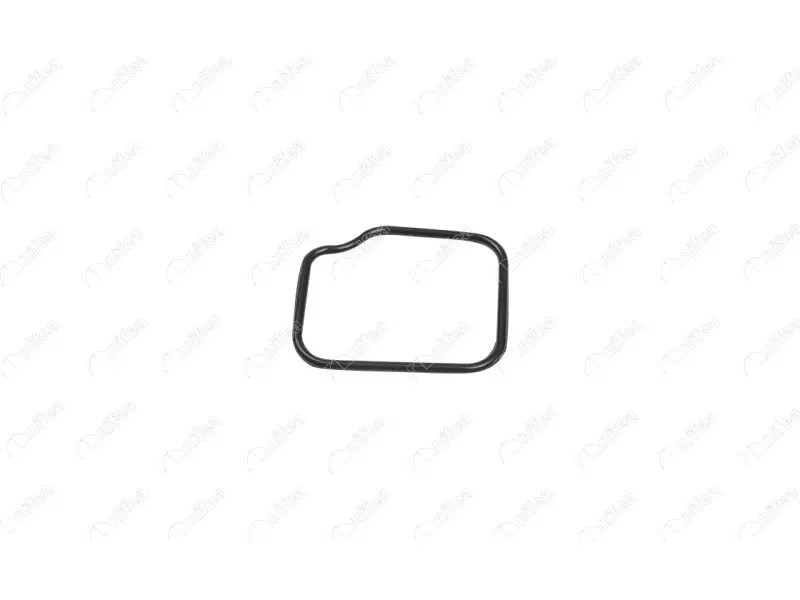 THERMOSTAT BODY GASKET