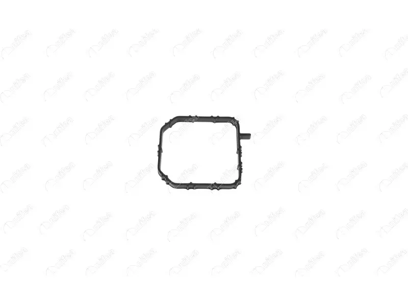 THERMOSTAT BODY GASKET