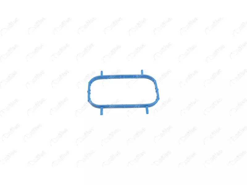 THERMOSTAT BODY GASKET