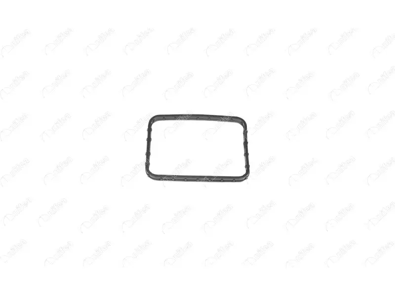THERMOSTAT BODY GASKET