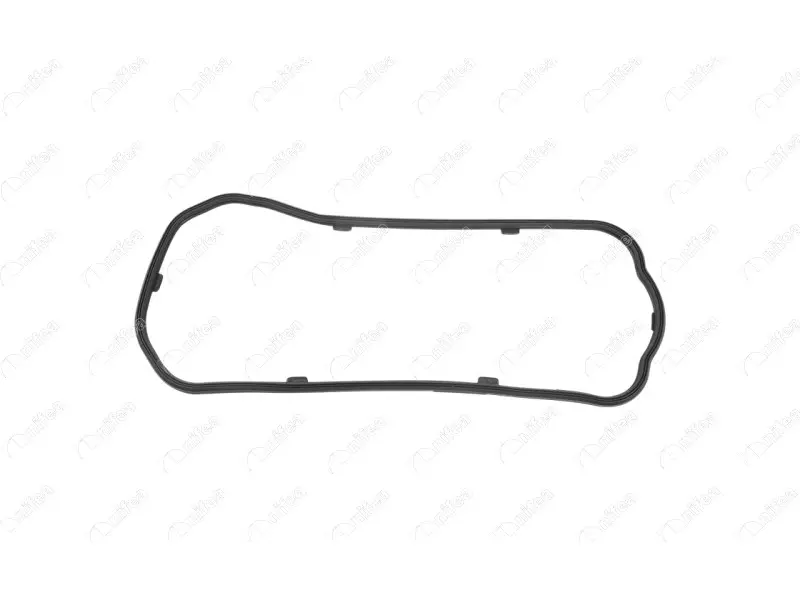 CRANKCASE GASKET