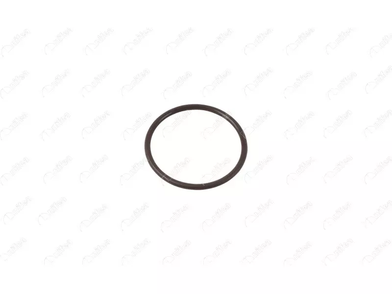 TURBO PIPE GASKET