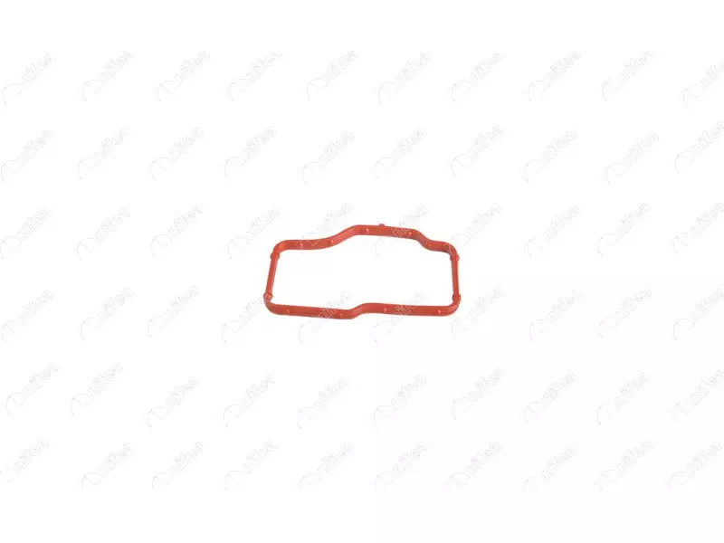 THERMOSTAT BODY GASKET