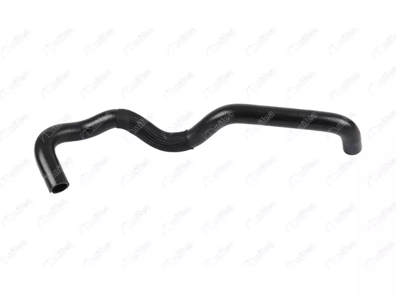 THERMOSTAT HOSE