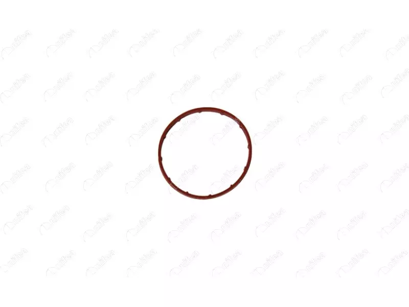 VACUUM PUMP SEAL