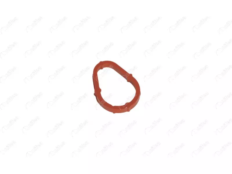 VACUUM PUMP SEAL