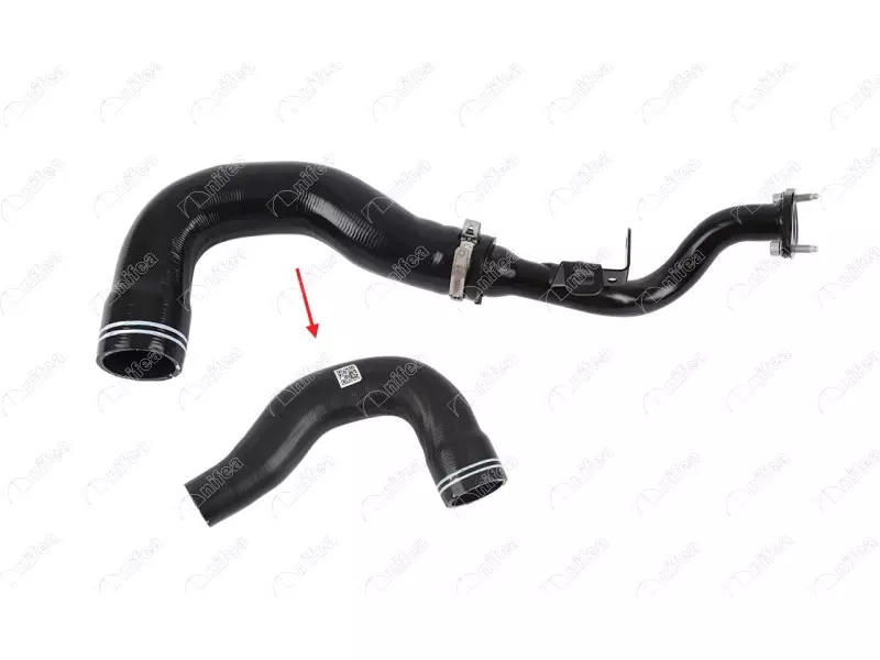 TURBO HOSE
EXCLUDING METAL PIPE