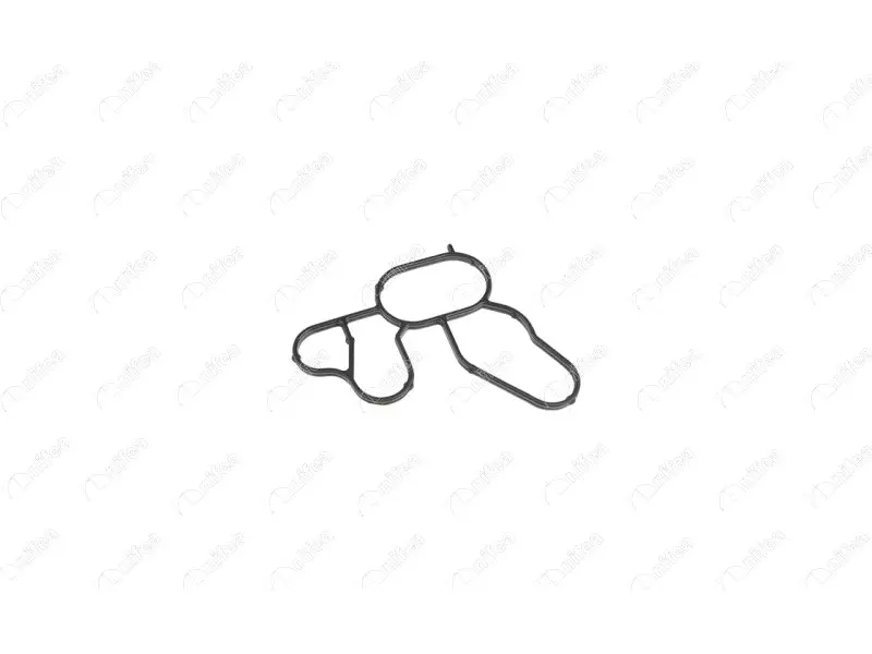 OIL COOLER GASKET