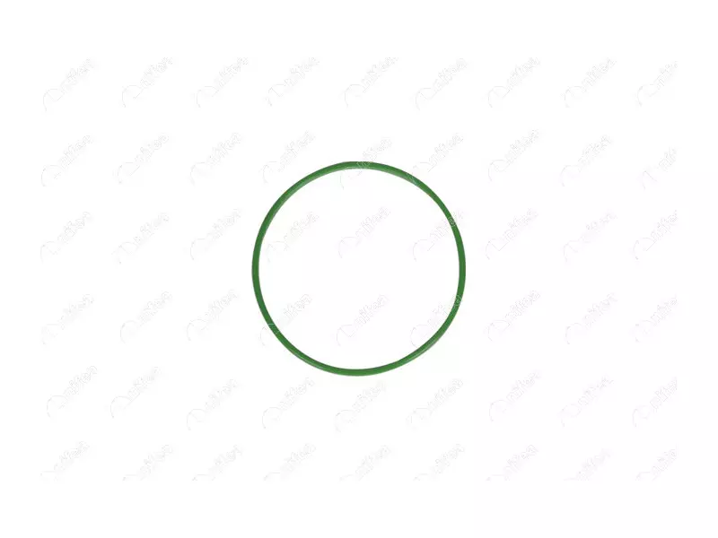 FUEL TANK GASKET