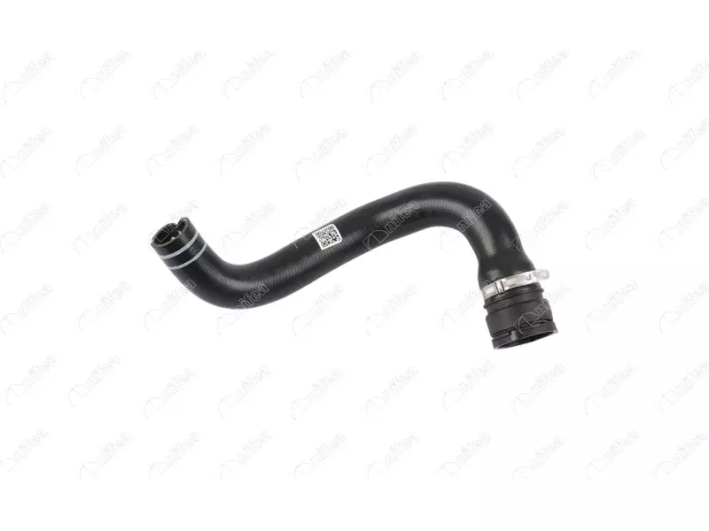RADIATOR OUTLET HOSE